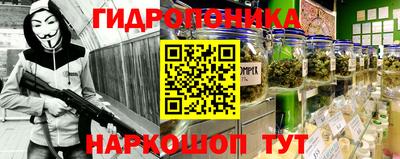 хмурый Долгопрудный