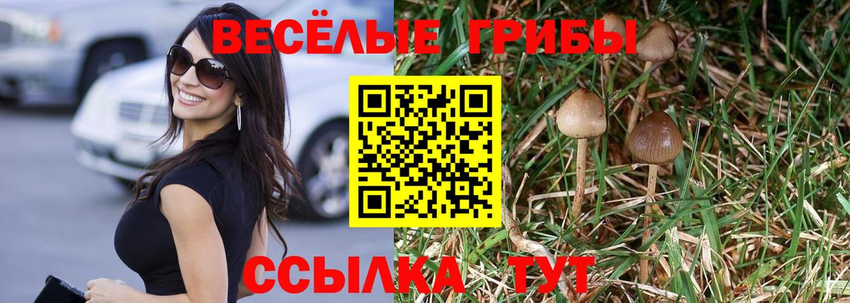 Приморско-Ахтарск  Галлюциногенные грибы Cubensis  Галлюциногенные грибы ЛСД  Вход с VPN 