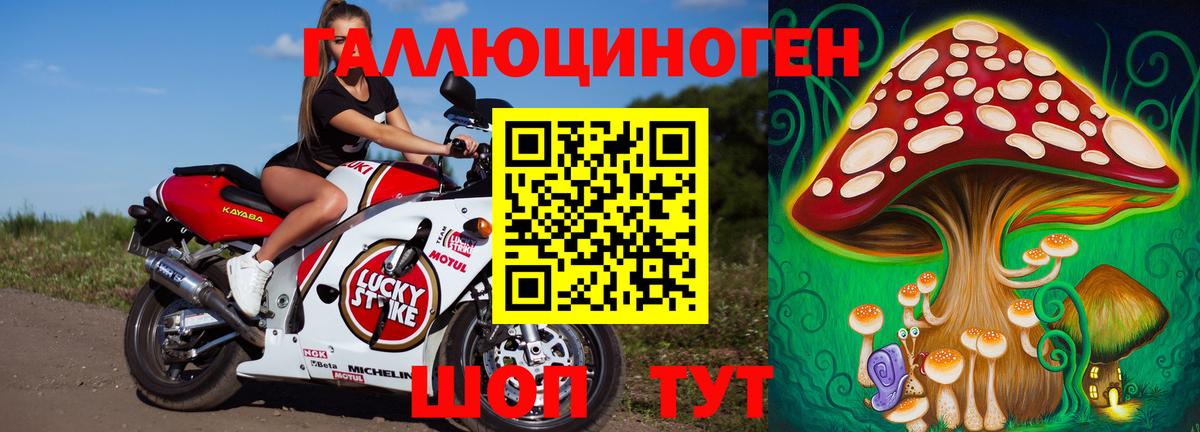 Галлюциногенные грибы ЛСД Приморско-Ахтарск
